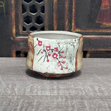 Cherry Blossom Chawan / Tea Bowl #47 (6 oz)