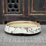 Dipping Bowl with Cherry Blossom #5