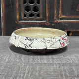 Dipping Bowl with Cherry Blossom #6