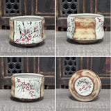 Cherry Blossom Chawan / Tea Bowl #47 (6 oz)