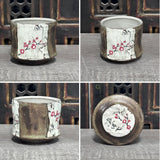 Cherry Blossom Chawan / Tea Bowl #50 (5 oz)