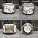 Cherry Blossom Chawan / Tea Bowl #51 (6 oz)